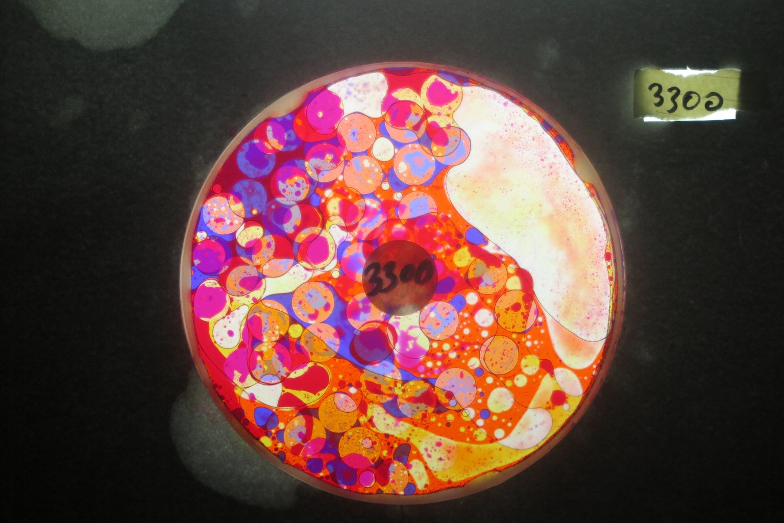 BV3300 bubble vision oil wheel